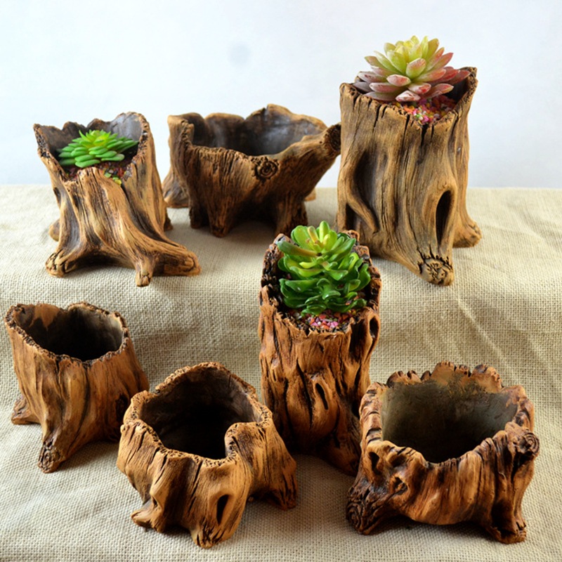 Echeveria Succulent - Piquets en bois d'imitation, racines d'arbre,