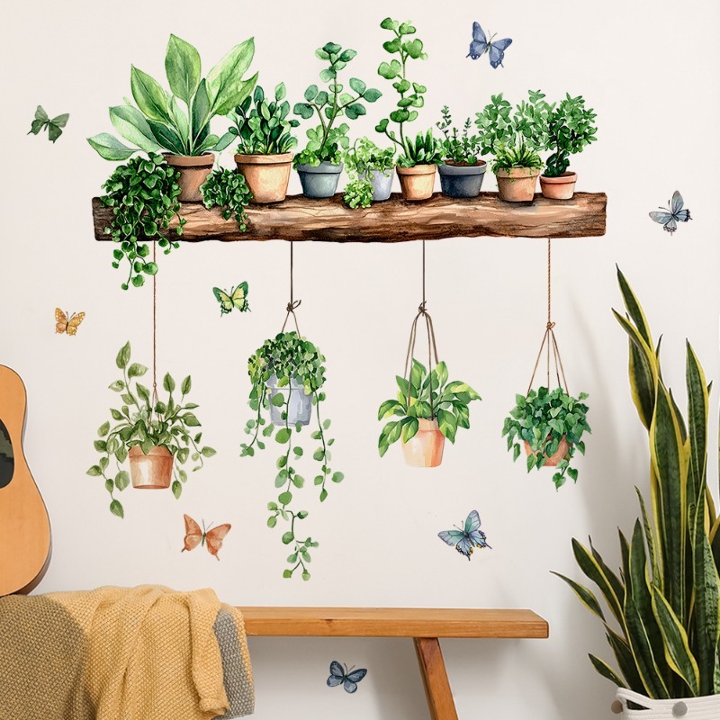 Autocollants muraux 3D de plan - Echeveria Succulent avis et prix